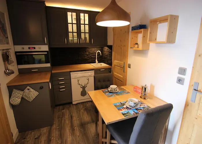 Altineige - Altineige 28m² 3 Pers Renove Mae-7423